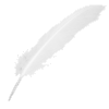 Giant Pen